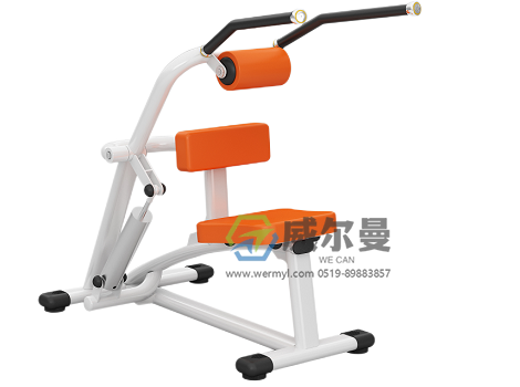 WE-DS-01坐式腹背训练器