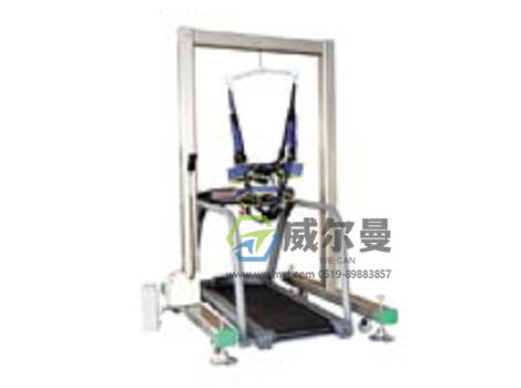 WE-JZB-C1单边门架电动减重步态训练器（配进口电动跑台）